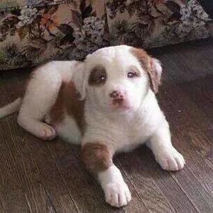 Meet your Posher, Karla